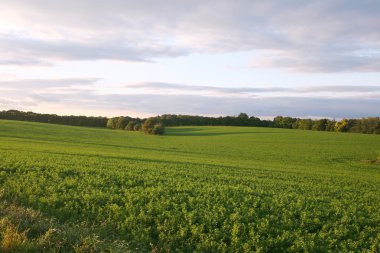 Dış düz kırsal sahne arka plan
