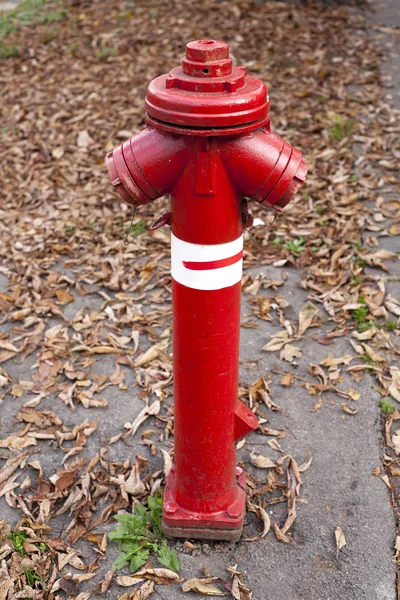 Fire hydrant close up — Stock Photo, Image