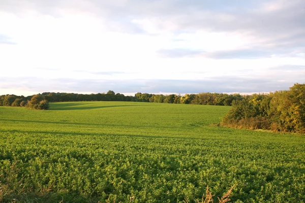 Nobody Outside Plain Rural Scene Background Stock Photo