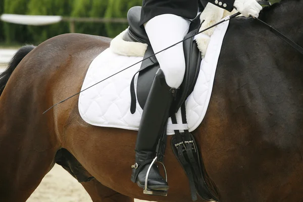 Unknown rider sitting on a dressage horse — Stock Photo, Image