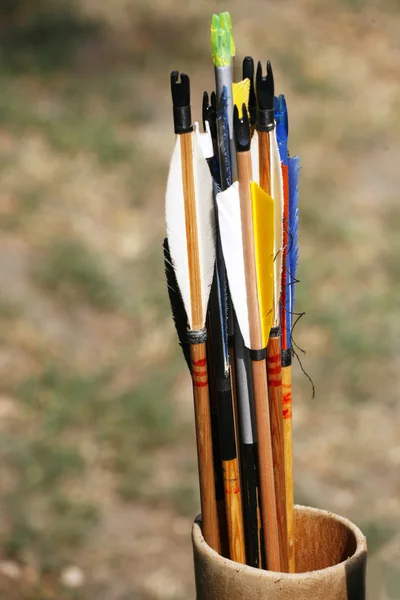 Brand new arrows in the quiver — Stock Photo, Image