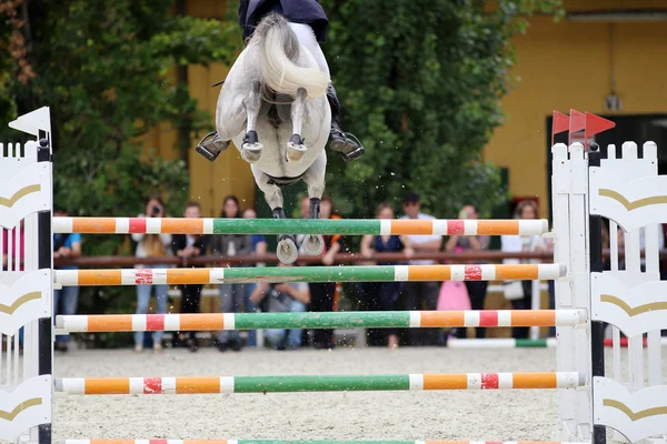 Racehorse jumping over obstacles on a show jumping competition — Stock Photo, Image