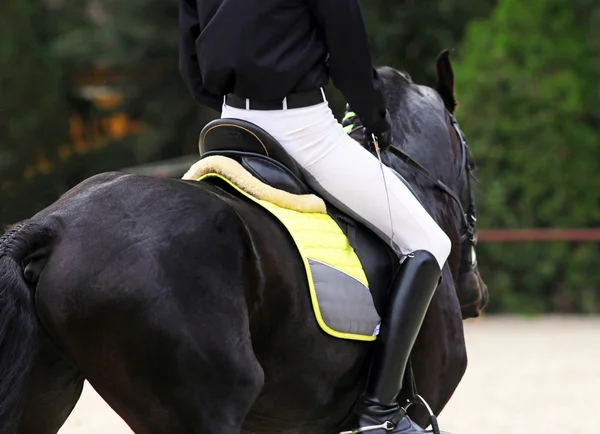 Cavalo de curativo friesiano com cavaleiro durante o treinamento — Fotografia de Stock