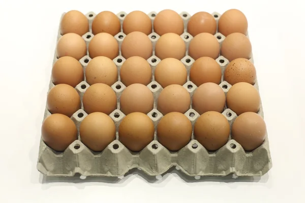포장 하는 흰색 바탕에 신선한 계란 — 스톡 사진