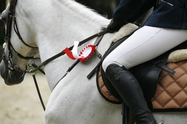 Belo cavalo premiado galopando na arena — Fotografia de Stock
