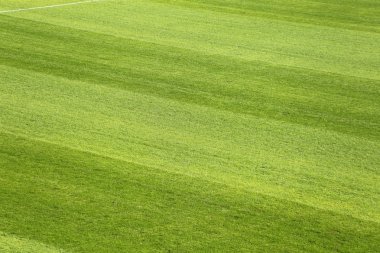 Dan yukarıda futbol alan yeşil çim tebeşir hattı ile göster