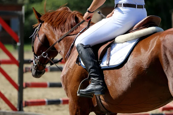 Prise de vue tête d'un cheval de saut d'obstacles lors d'un entraînement avec une personne non identifiée — Photo