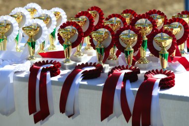 Altın Kupa bardak ve kurdeleler riders için