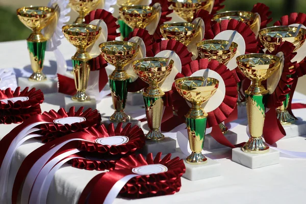 Closeup of golden trophies and ribbons for equestrian winners — Stock Photo, Image