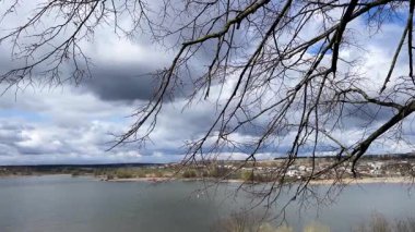 Rüzgar dalları sallıyor bulutların arka planında ve bir nehirde