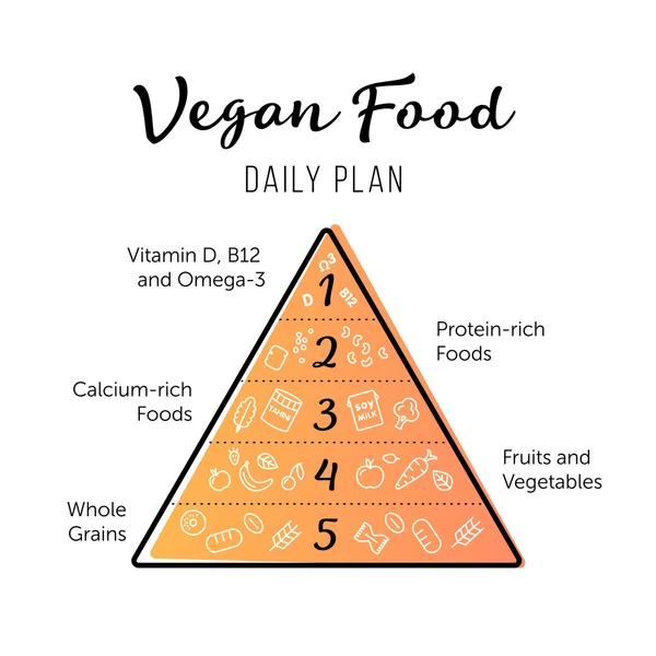 Food pyramid healthy vegan eating infographic. Recommendations of a healthy lifestyle. Thing line icons of products. Vector poster. — Stock Vector
