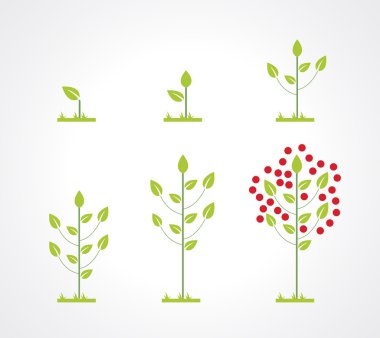 Büyüyen ağaç Icon set