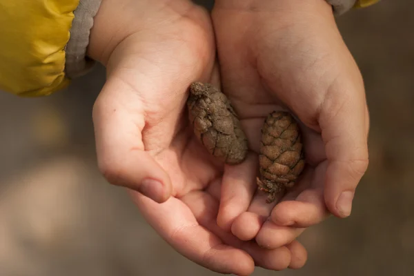 Dois solavancos nas mãos de uma criança. Foco suave — Fotografia de Stock