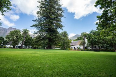 Constantia şaraphanesi yemyeşil çimen ve Hollanda tarzı bina
