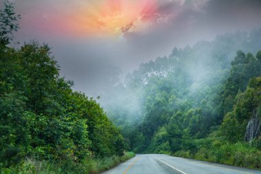 Puslu dağ ve bereketli yeşil ormanın içinden geçen dolambaçlı bir yol, renkli bulutlar içinde güneşli.