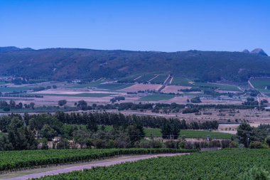 Cape Town 'un batı yakasında mavi gökyüzü olan franschhoek şarap vadisi Güney Afrika