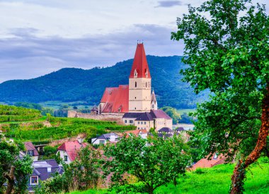 Drnstein köyünün ve Wachau Vadisi 'nin yamaçlarındaki yemyeşil üzüm bağlarının arasından görünen ikonik mavi manastır kulesinin manzarası. Drnstein, Avusturya