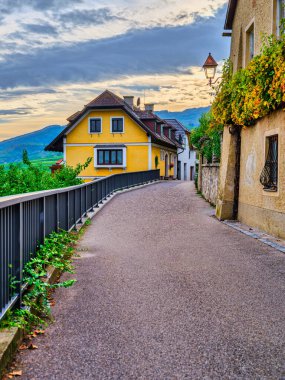 Drnstein köyünün ve Wachau Vadisi 'nin yamaçlarındaki yemyeşil üzüm bağlarının arasından görünen ikonik mavi manastır kulesinin manzarası. Drnstein, Avusturya