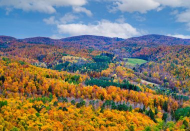 Yoğun Thuringian Ormanı 'nı canlı sonbahar renkleriyle kaplayan nefes kesici bir hava fotoğrafı, Eisenach kasabası ve manzaranın içine yerleşmiş ikonik Wartburg Kalesi. Almanya