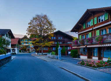 Geleneksel ahşap dağ evinde yeşil kepenkler ve arka planda Bernese Alpleri olan Wilderswil köyünün sessiz bir sokağında bir su yalağı var.
