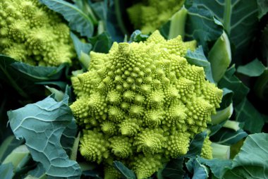 Romanesco brokoli