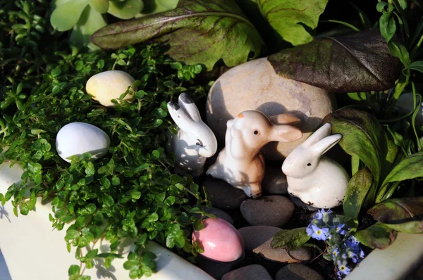 Easter miniature pot garden — Stock Photo, Image