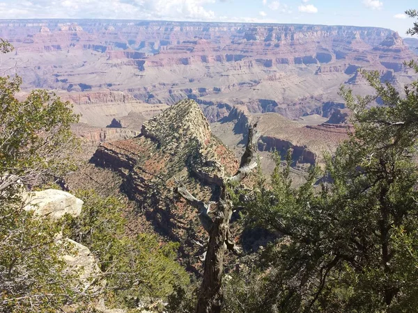 Grandview Point Grand Canyon Ulusal Parkı Arizona Haziran 2015 — Stok fotoğraf