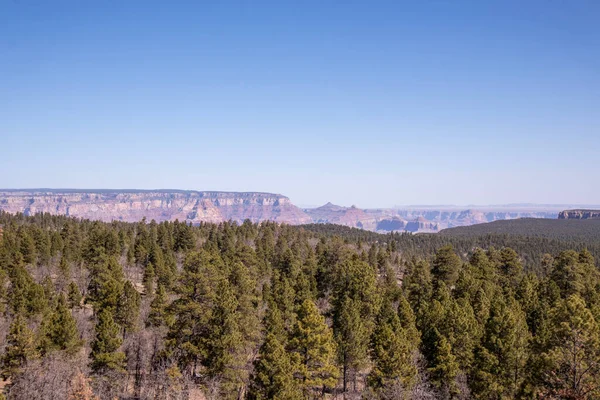 Blick Auf Den Südrand Des Grand Canyon Vom Grandview Aussichtsturm — Stockfoto