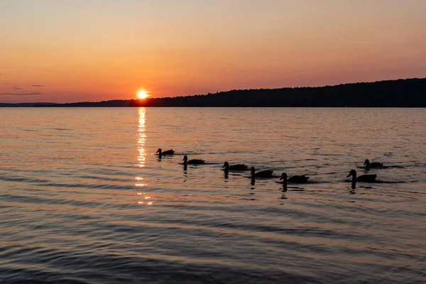 Duck Sunset Kum Noktası Sahili, Michigan Gölü, Eylül 2021