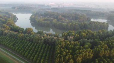 İtalya 'da ağaç ve lagün ekimi