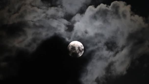 Pełnia księżyca pośród chmur — Wideo stockowe