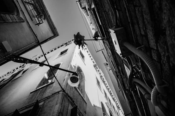 Veneza, Itália após o encerramento de 2020 no verão — Fotografia de Stock