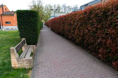 Yazın, bitki duvarlı yaya yolu. İtalya