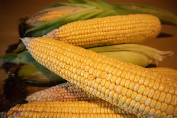 Färsk mört gul majs på kolven — Stockfoto