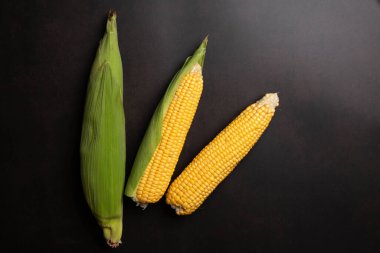 Düz siyah arka planda taze mısır koçanları. Yüksek kalite fotoğraf