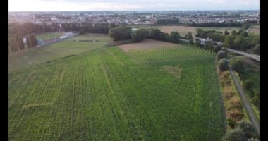 Viadana şehri Mantova, İtalya 'nın hava aracı görüntüsü. 