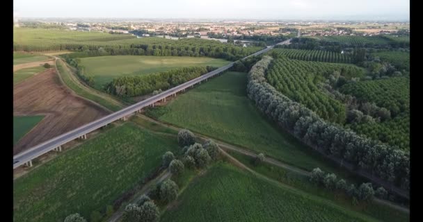 Vista Aérea Drone Ponte Viadana Mantova Itália — Vídeo de Stock