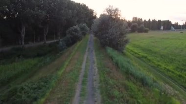 Yazın ağaçların üzerinden uçarken, İtalya Viadana