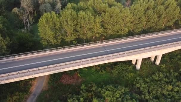Dji Drone Voo Sobre Viadana Ponte Parque Vídeo — Vídeo de Stock