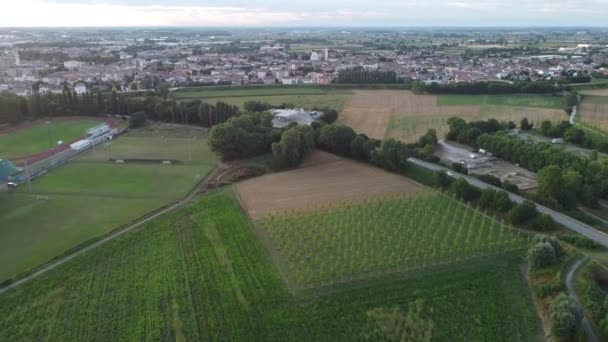 Vista Aérea Drones Campos Agrícolas Cidade Viadana Itália Imagens Alta — Vídeo de Stock