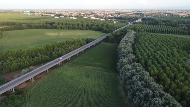 意大利曼托瓦Viadana桥空中无人驾驶飞机飞行视图 — 图库视频影像