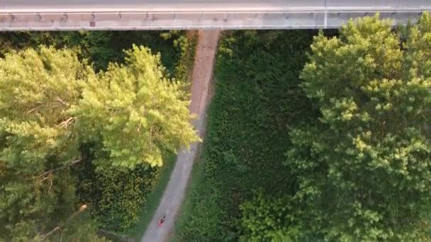 Vol de drone Dji au-dessus du pont Viadana et de la piste cyclable. Vidéo 4K. — Video