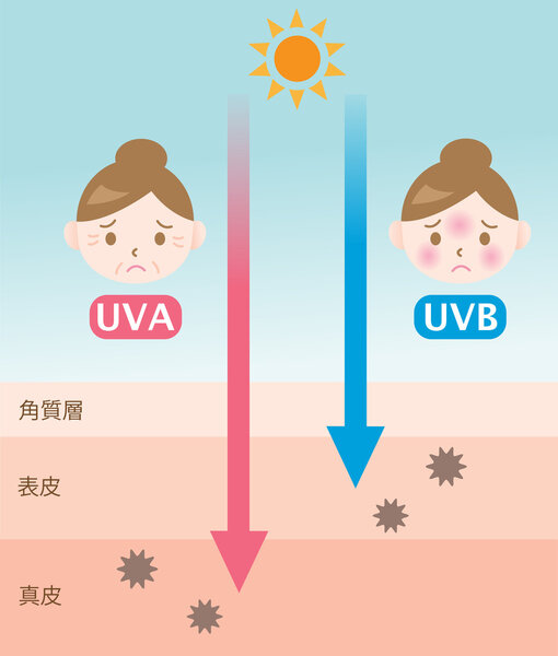Инфографическая иллюстрация кожи. разница между проникновением ультрафиолетовых и ультрафиолетовых лучей
