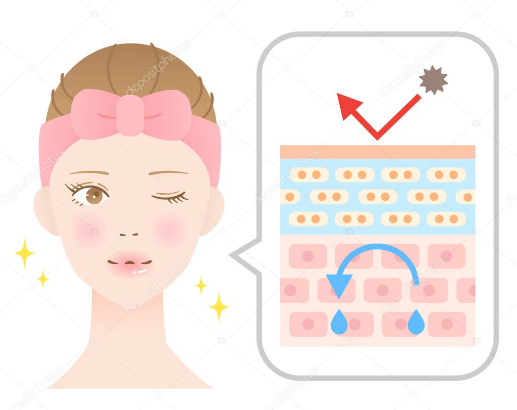 healthy skin layer and woman illustration. beauty and skin care concept