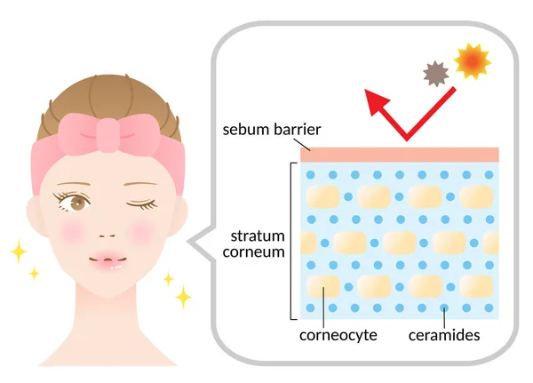 Strato Pelle Sana Illustrazione Della Donna Concetto Bellezza Cura Della — Vettoriale Stock