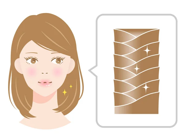 Cutículas Cabello Saludable Ilustración Hermosa Mujer Brillo Del Cabello Saludable — Vector de stock