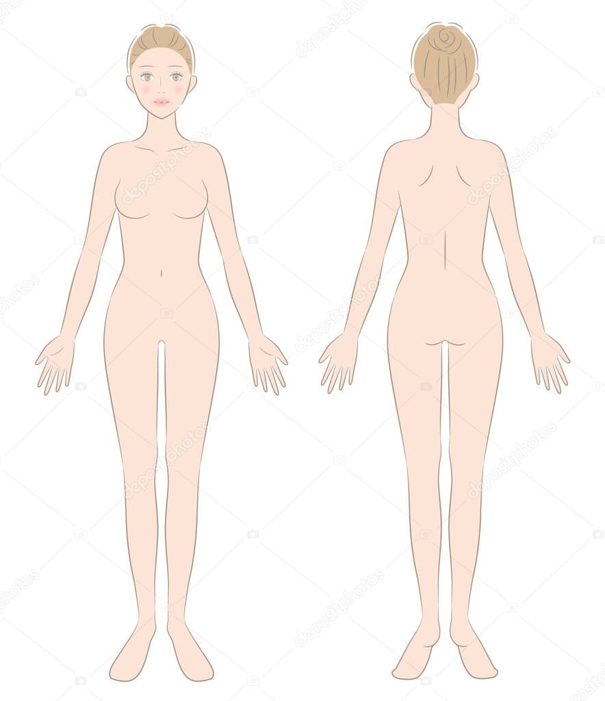 naked woman full body front and back illustration. Beauty and health care concept