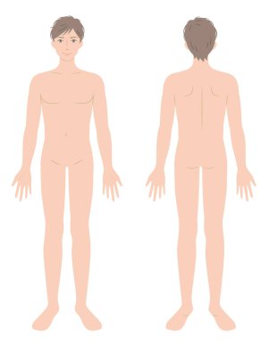 naked young man full body front and back illustration. Beauty and health care concept clipart