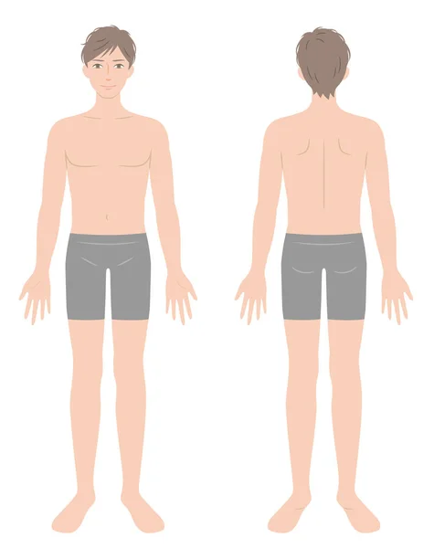 下着姿のイケメンフルボディ 立っている男性の前と後ろのビュー 美と健康的なボディケアの概念 — ストックベクタ