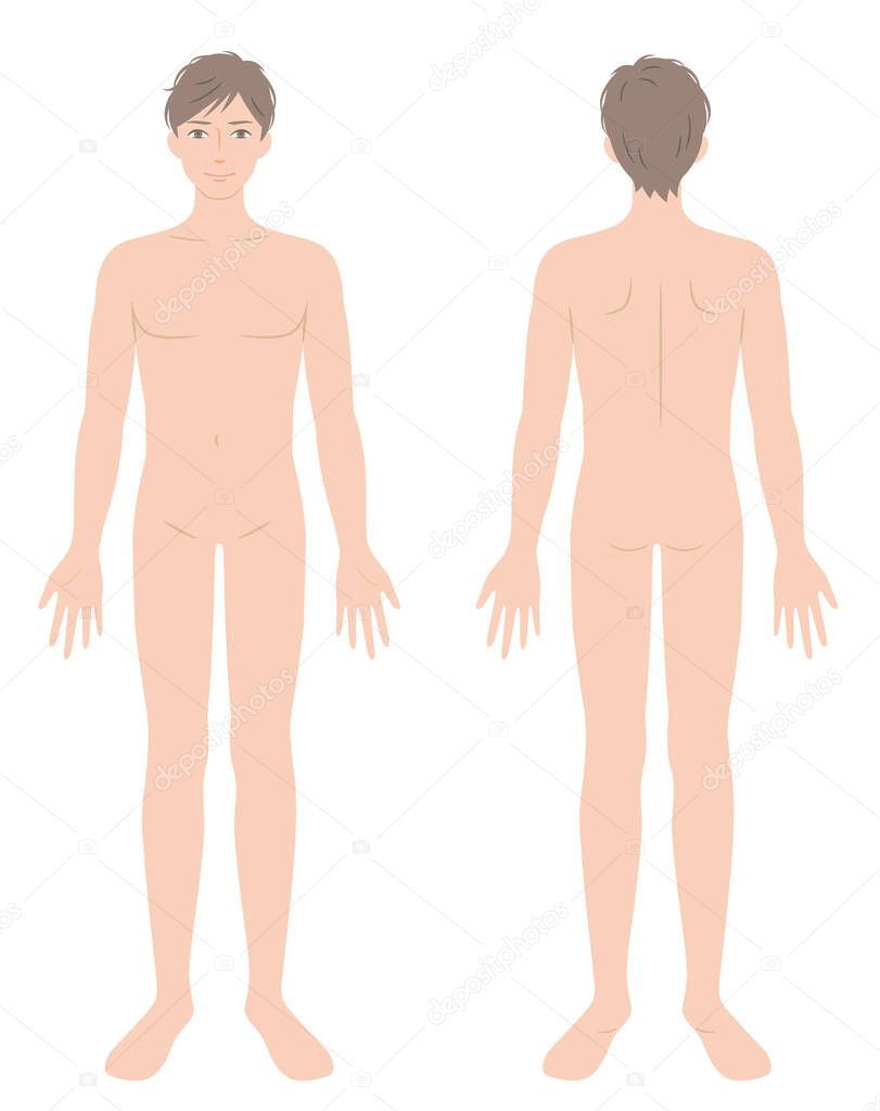 naked young man full body front and back illustration. Beauty and health care concept